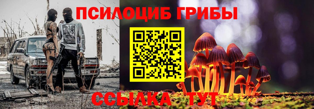 Галлюциногенные грибы MAGIC MUSHROOMS Гай