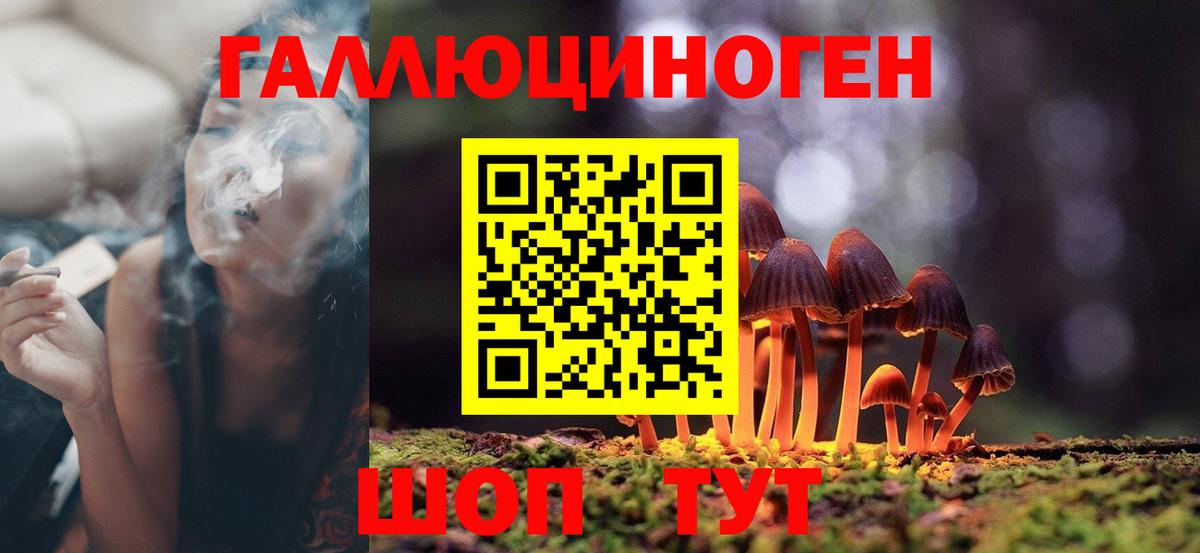 закладка  Галлюциногенные грибы Psilocybine cubensis  Гай  Вход с VPN  Галлюциногенные грибы ЛСД 