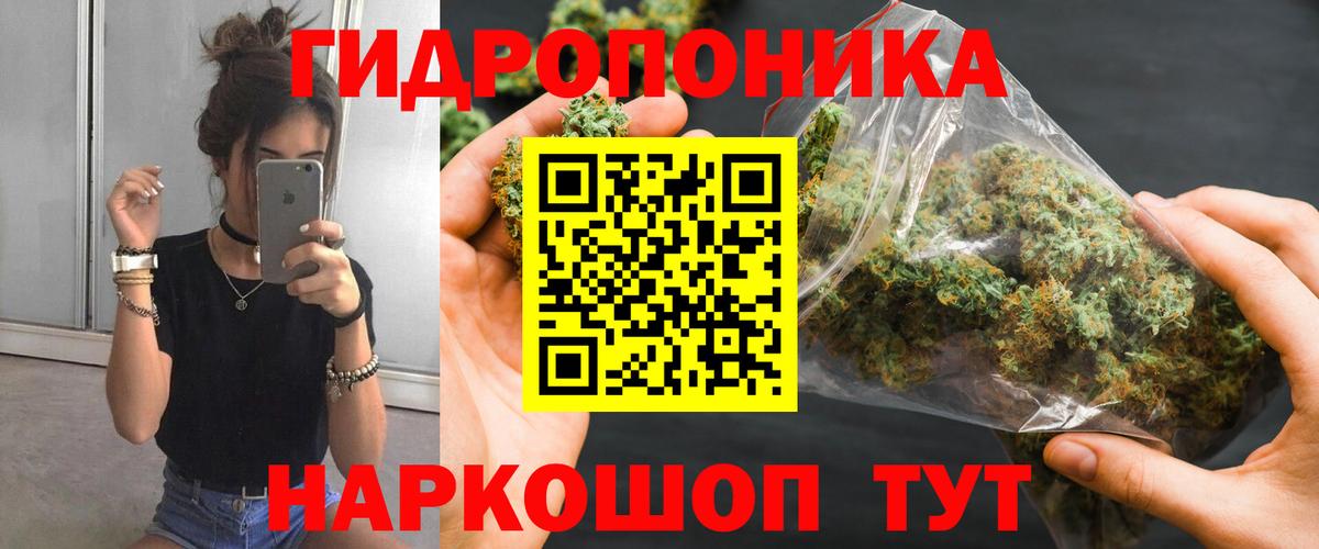 Гай  Бошки Шишки MAZAR  Канабис Amnesia  Вход с VPN 